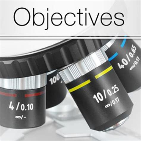 types of objectives in microscope.